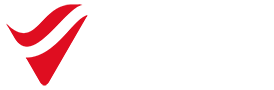 Grupo Viesa
